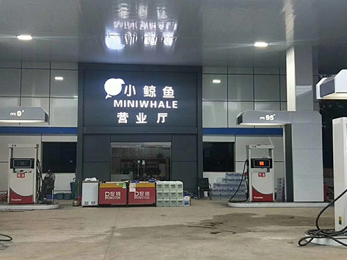 菠萝蜜污视频在线观看